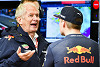 Helmut Marko: Hamilton immer noch besser als Verstappen!