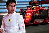 Wer letzte Nacht am schlechtesten geschlafen hat: Charles Leclerc