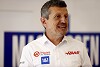 Günther Steiner über Ricciardo: 'Vielleicht wollen wir Daniel gar nicht!'