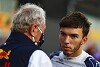 Gasly, Mick & Colton Herta: Jetzt spielt die 'Silly Season' komplett verrückt!