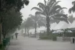 Foto zur News: Schwerer Regenschauer am Donnerstagnachmittag