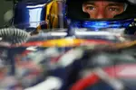 Foto zur News: Mark Webber (Red Bull)