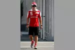 Foto zur News: Fernando Alonso (Ferrari)