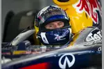 Foto zur News: David Coulthard (Red Bull )