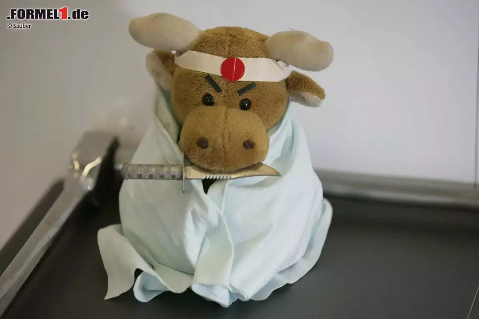 Foto zur News: Maskottchen von Kamui Kobayashi (Sauber)