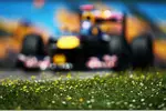 Foto zur News: Sebastian Vettel (Red Bull)