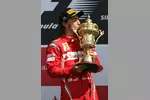 Foto zur News: Fernando Alonso (Ferrari)