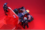 Foto zur News: Jean-Eric Vergne und Daniel Ricciardo (Toro Rosso)