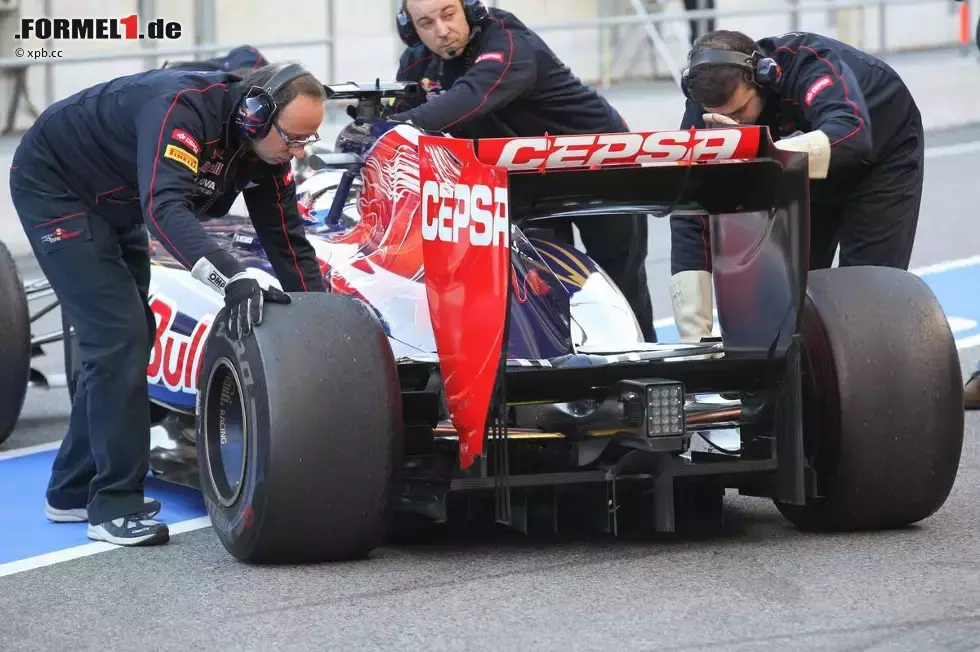 Foto zur News: Daniel Ricciardo (Toro Rosso)