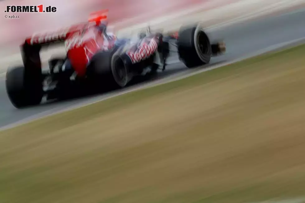 Foto zur News: Daniel Ricciardo (Toro Rosso)