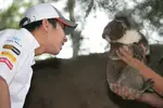 Foto zur News: Kamui Kobayashi (Sauber) im Zoo von Melbourne