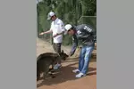 Foto zur News: Kamui Kobayashi und Sergio Perez (Sauber) im Zoo von Melbourne