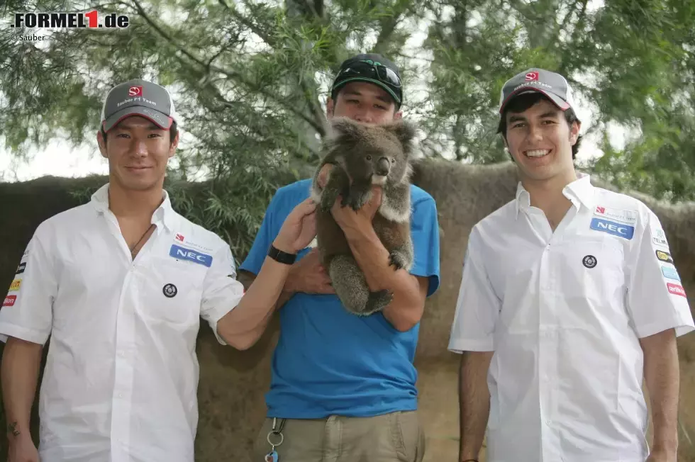 Foto zur News: Kamui Kobayashi und Sergio Perez (Sauber) im Zoo von Melbourne