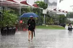 Foto zur News: Vorboten für das Wochenende in Malaysia? Platzregen ging schon am Donnerstag in Sepang nieder.