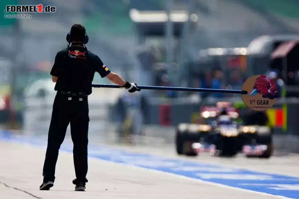 Foto zur News: Daniel Ricciardo (Toro Rosso)