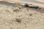 Foto zur News: Nico Hülkenberg (Force India)