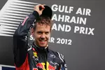 Foto zur News: Sebastian Vettel (Red Bull)