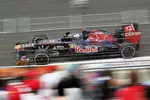 Foto zur News: Daniel Ricciardo (Toro Rosso)