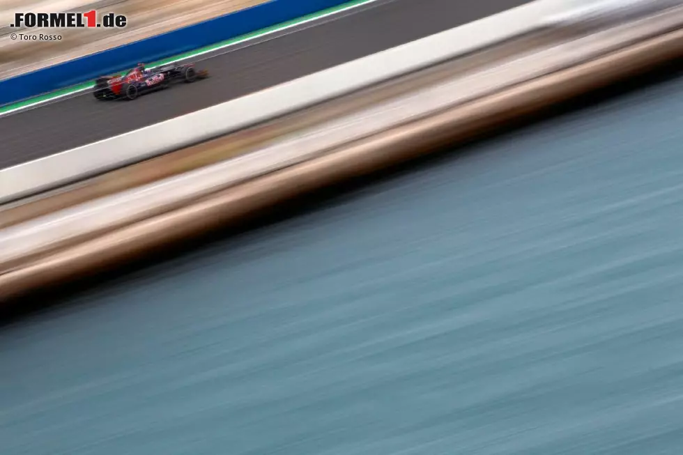 Foto zur News: Daniel Ricciardo (Toro Rosso)