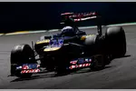 Foto zur News: Daniel Ricciardo (Toro Rosso)