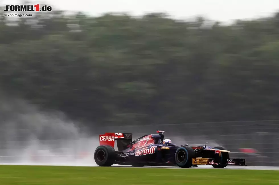 Foto zur News: Daniel Ricciardo (Toro Rosso)