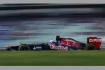 Foto zur News: Daniel Ricciardo (Toro Rosso)