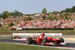 Foto zur News: Fernando Alonso (Ferrari)