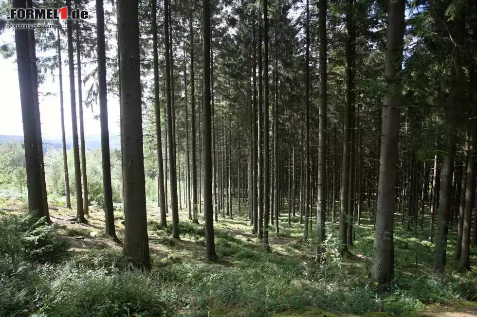 Foto zur News: Atmosphäre in Spa-Francorchamps: Die Rennstrecke liegt mitten im Wald