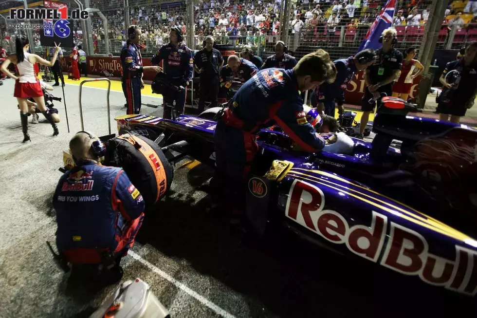 Foto zur News: Daniel Ricciardo (Toro Rosso)