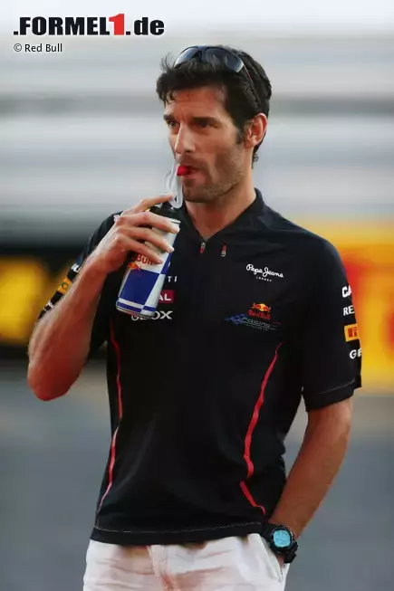 Foto zur News: Mark Webber (Red Bull)