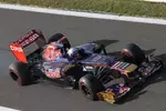 Foto zur News: Daniel Ricciardo (Toro Rosso)