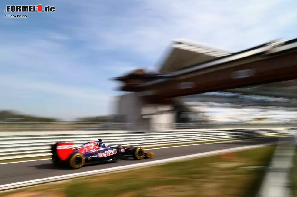 Foto zur News: Daniel Ricciardo (Toro Rosso)