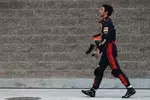 Foto zur News: Daniel Ricciardo (Toro Rosso)