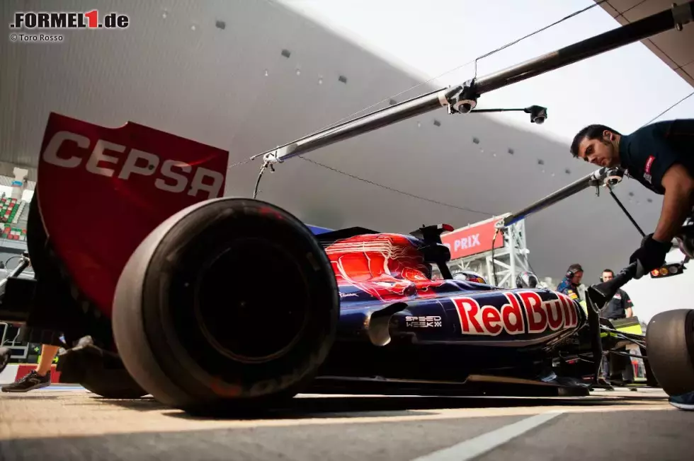 Foto zur News: Daniel Ricciardo (Toro Rosso)