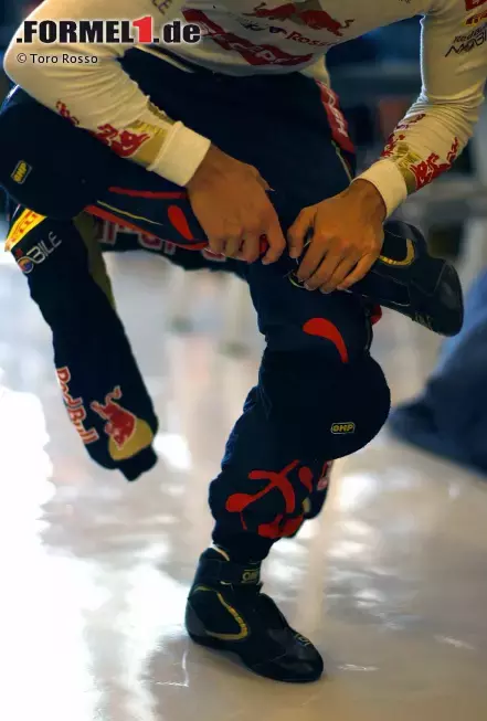 Foto zur News: Daniel Ricciardo (Toro Rosso)