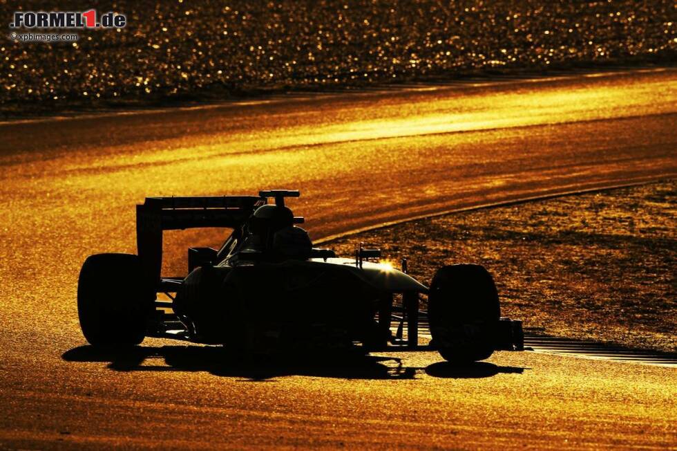 Foto zur News: Daniel Ricciardo (Toro Rosso)