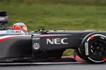 Foto zur News: Nico Hülkenberg (Sauber)