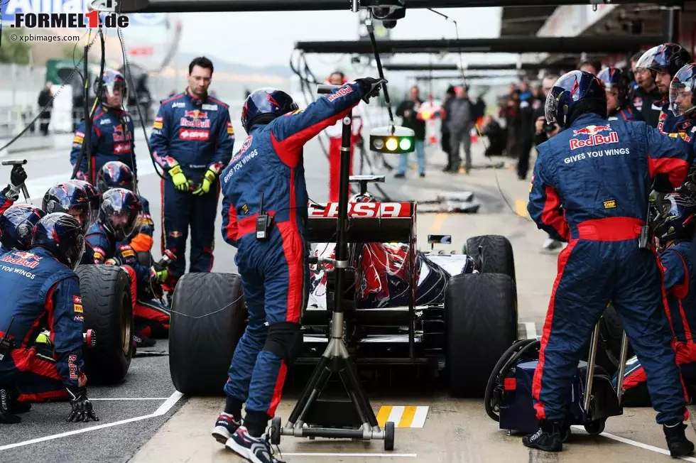 Foto zur News: Daniel Ricciardo (Toro Rosso)