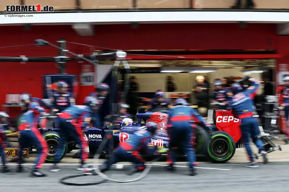 Foto zur News: Daniel Ricciardo (Toro Rosso)