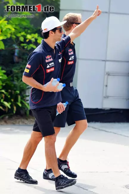 Foto zur News: Daniel Ricciardo (Toro Rosso)