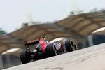 Foto zur News: Daniel Ricciardo (Toro Rosso)