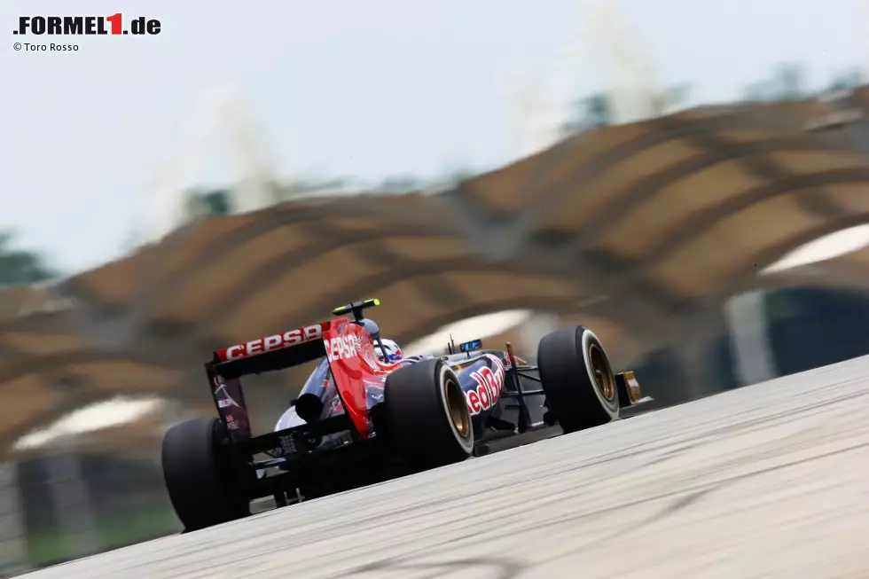 Foto zur News: Daniel Ricciardo (Toro Rosso)