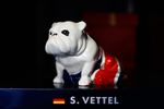 Foto zur News: Maskottchen bei Sebastian Vettel (Red Bull)