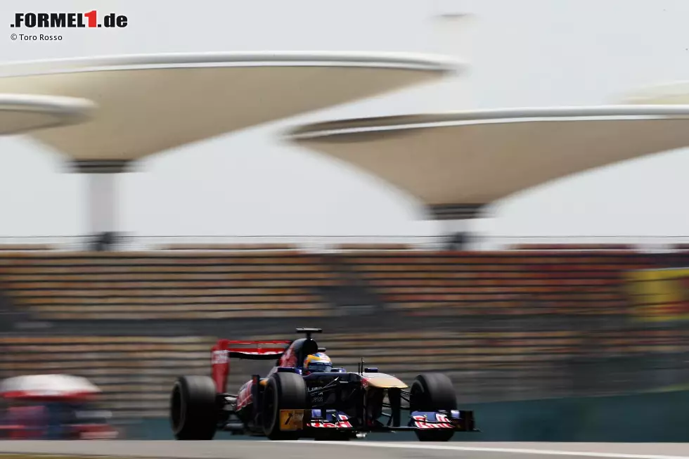 Foto zur News: Daniel Ricciardo (Toro Rosso)