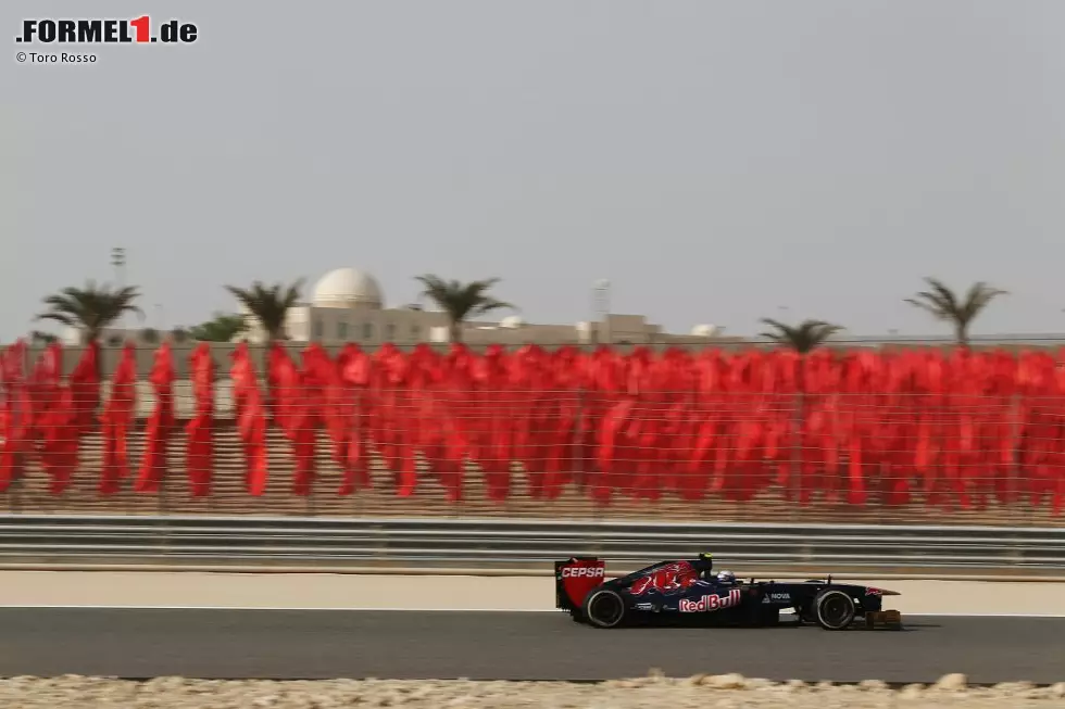 Foto zur News: Daniel Ricciardo (Toro Rosso)