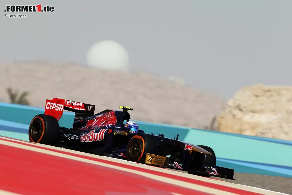 Foto zur News: Daniel Ricciardo (Toro Rosso)