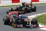 Foto zur News: Daniel Ricciardo (Toro Rosso)