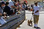 Foto zur News: Lewis Hamilton (Mercedes) mit seinem Hund Roscoe