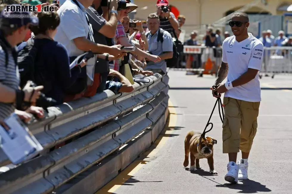 Foto zur News: Lewis Hamilton (Mercedes) mit seinem Hund Roscoe