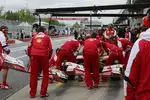 Foto zur News: Fernando Alonso (Ferrari)